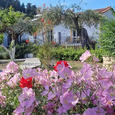 Apartment Aphrodite & With Pool