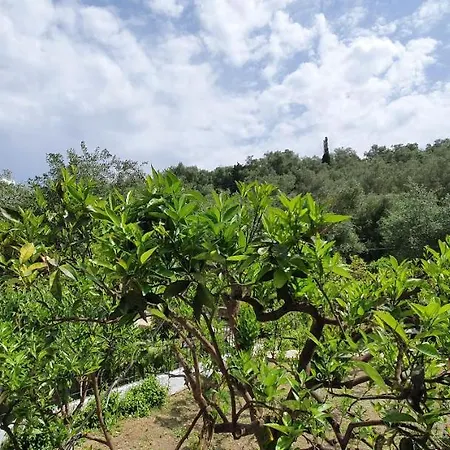 Aphrodite & With Pool * Lakka (Paxos)